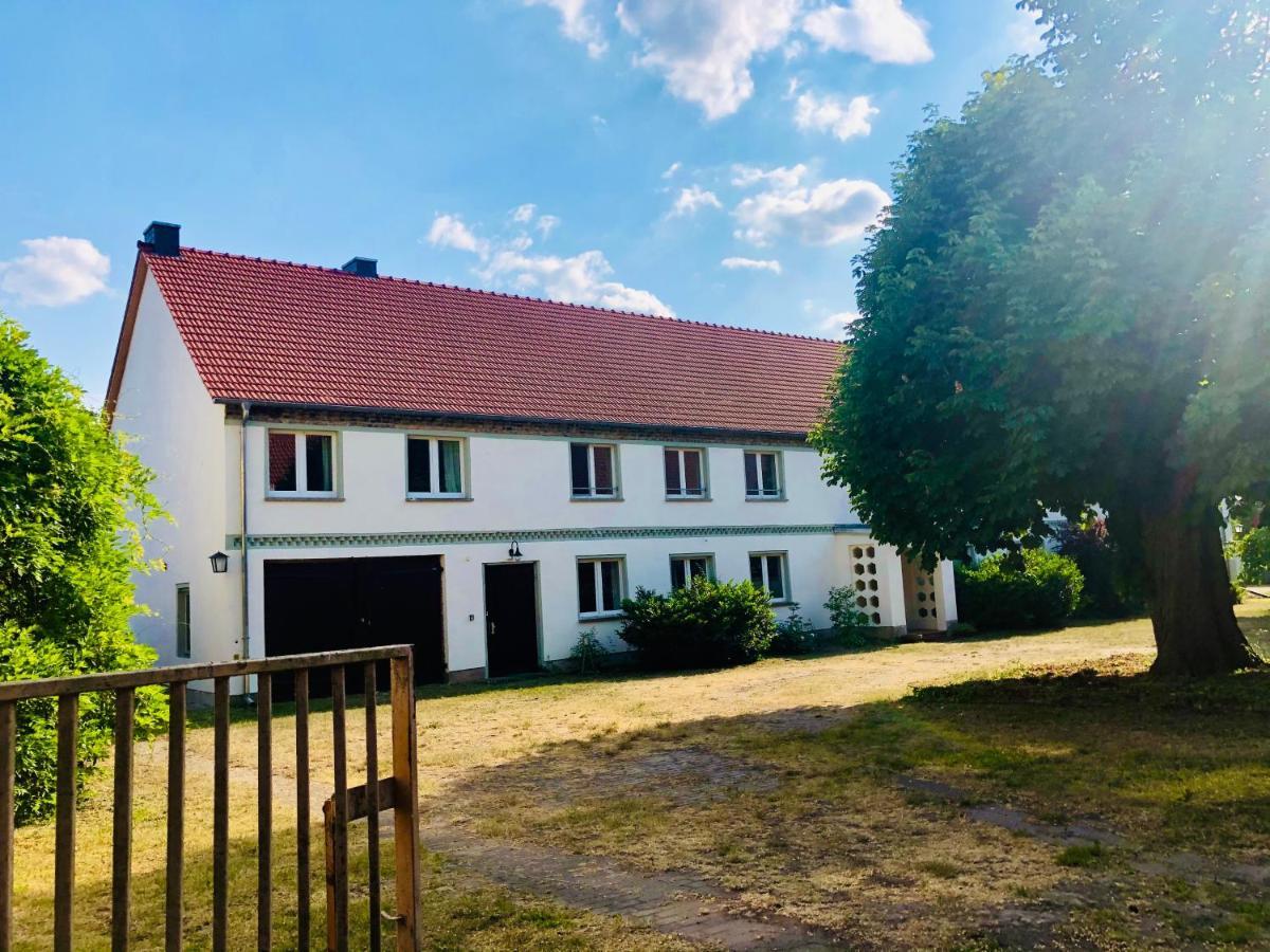 Neu - Ferien Auf Dem Bruderhof Am Pritzerber See Hohenferchesar Eksteriør bilde